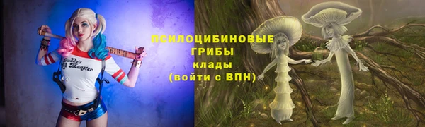 первитин Шадринск