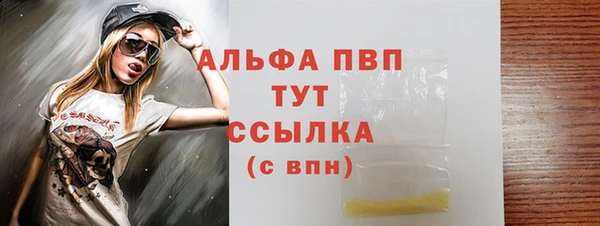 прущие грибы Аркадак