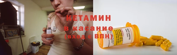 прущие грибы Аркадак