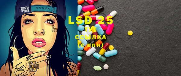 прущие грибы Аркадак