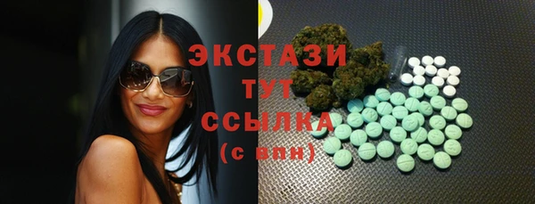 прущие грибы Аркадак