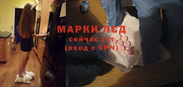 прущие грибы Аркадак