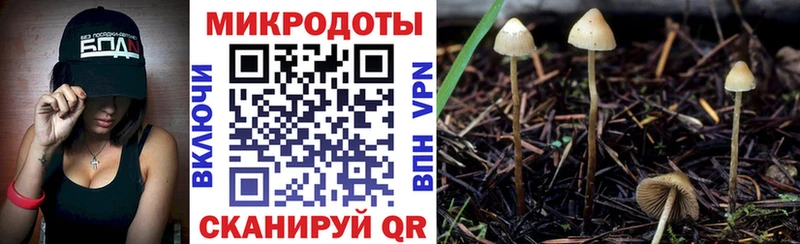 Псилоцибиновые грибы Psilocybine cubensis OMG ссылка Белебей